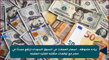 زيادة ملحوظة.. أسعار العملات في السوق السوداء ترتفع مجددًا في مصر مع توقعات متقلبة للفترة المقبلة